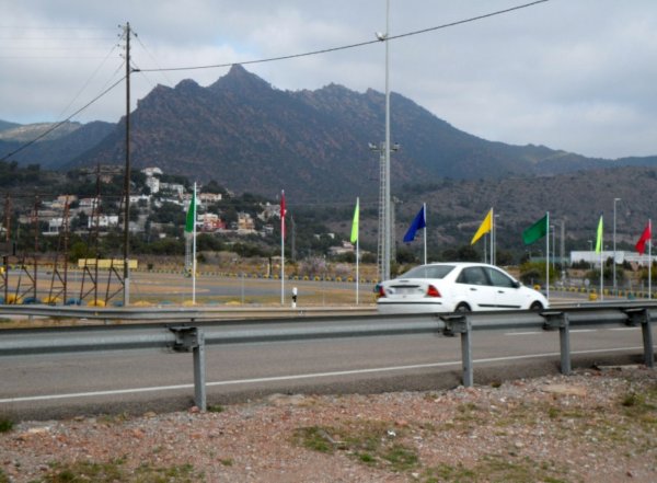 Benicasim 8 feb 2011 003.JPG