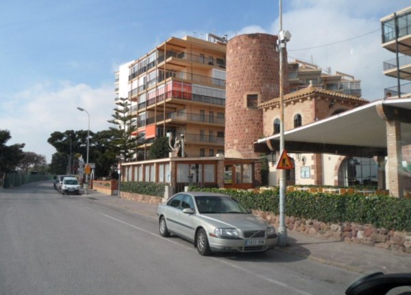 Benicasim 8 feb 2011 006.JPG