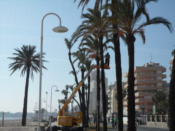 2011-02-07 Marknadsdag Peniscola 001.JPG