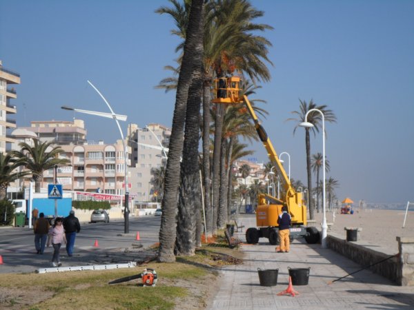 2011-02-07 Marknadsdag Peniscola 005.JPG