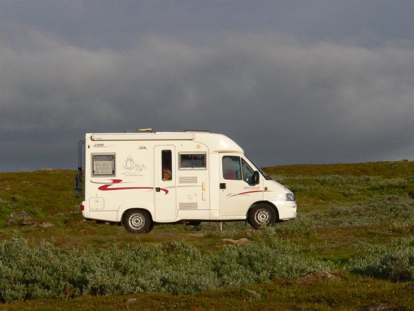 Sommar 2008 2 208 (Large).jpg