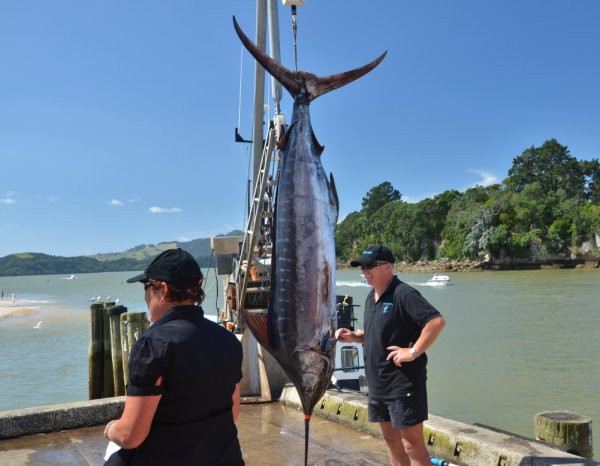 Skärmavbild 2011-02-20 kl. 17.26.43.jpg