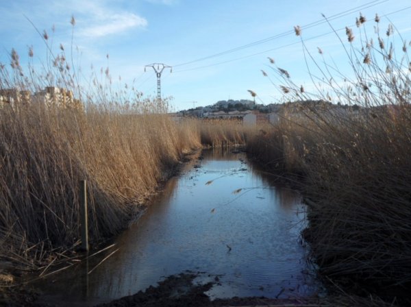 söndag 20 feb Peniscola 014.JPG