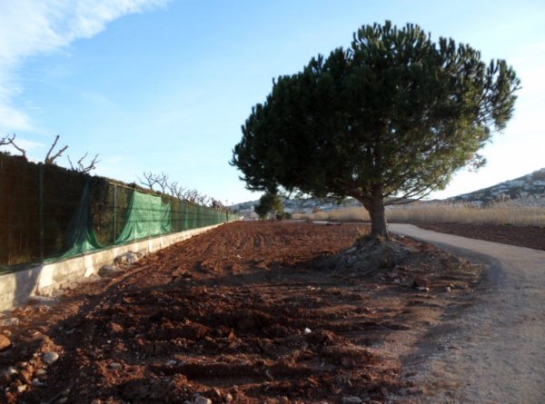 söndag 20 feb Peniscola 021.JPG