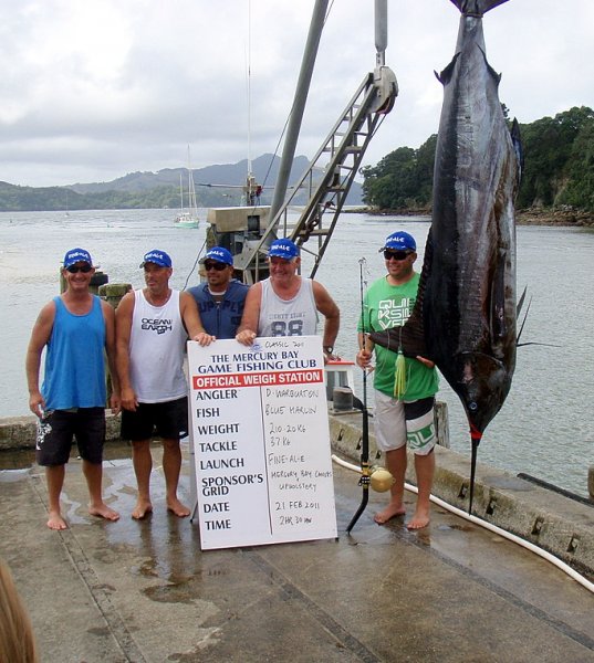 Blue Marlin 210 kg.jpg