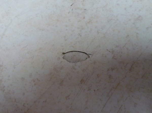 HB-bordrep 027.JPG HB-bordrep 027.JPG