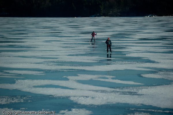 20110220.121.jpg 20110220.121.jpg