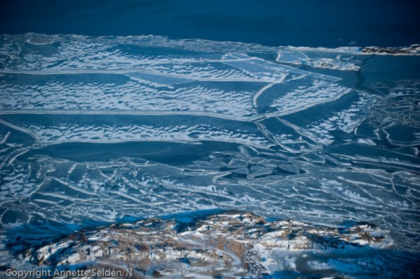 20110220.230.jpg 20110220.230.jpg