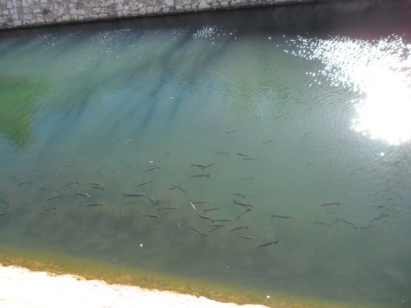 Februari 02 24 2011 Peniscola 031.JPG