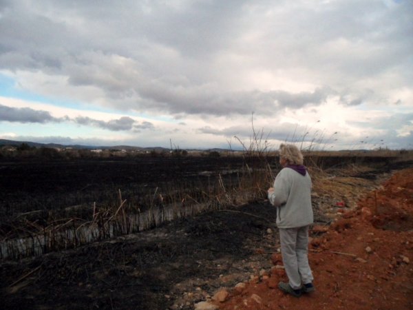 Den stora branden 2011 02 27 042.JPG