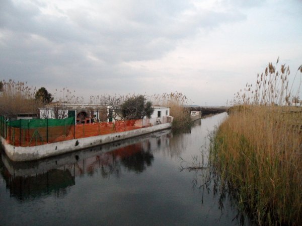 Efter Branden 2mars 2011 Peniscola 046.JPG