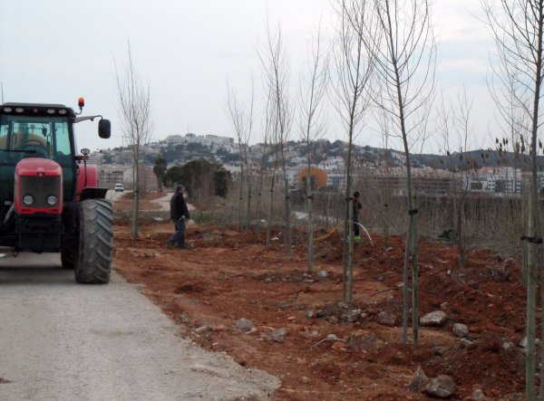 Efter Branden 2mars 2011 Peniscola 054.JPG