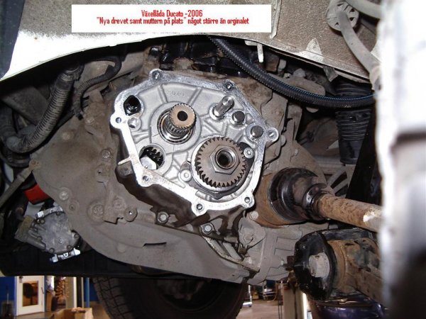 IMGP9237 (Large).JPG