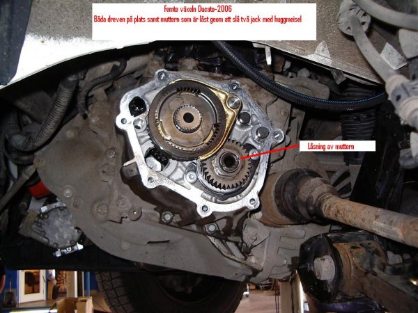 IMGP9238 (Large).JPG