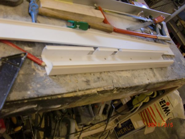 5 mars  2010 011   F.jpg