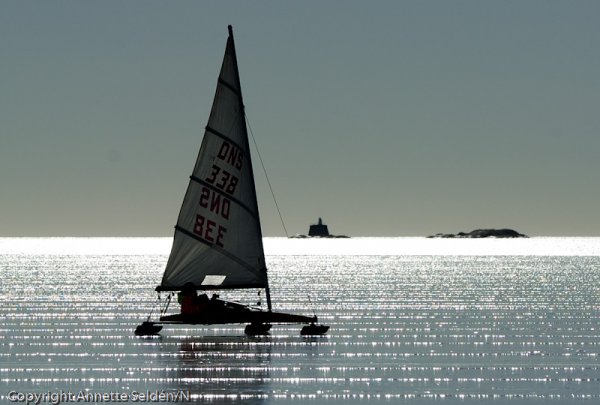 20110306.024.jpg 20110306.024.jpg