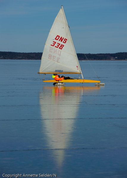 20110306.044.jpg 20110306.044.jpg