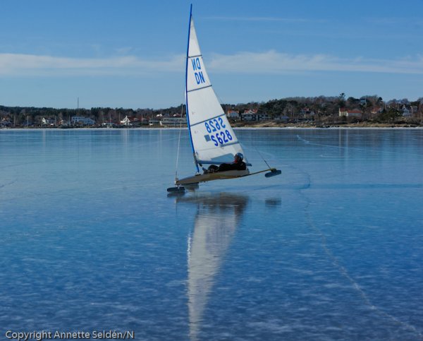 20110306.051.jpg 20110306.051.jpg