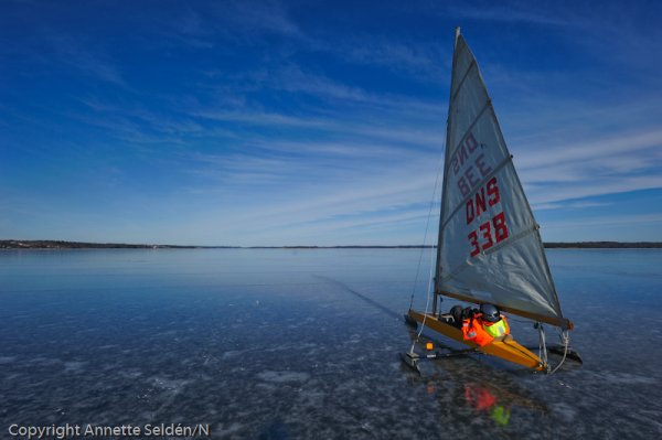 20110306.074.jpg 20110306.074.jpg