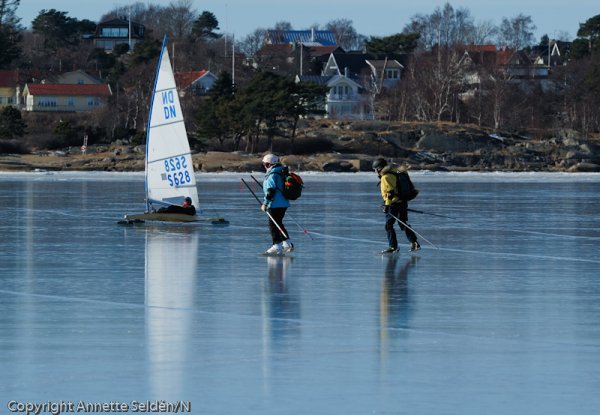 20110306.103.jpg 20110306.103.jpg