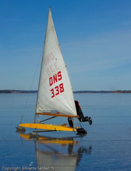 20110306.123.jpg 20110306.123.jpg