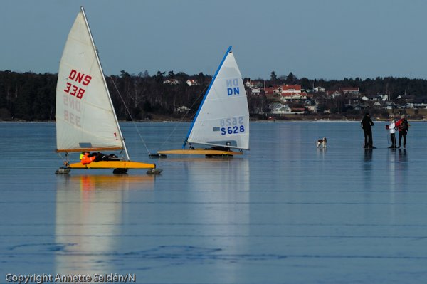 20110306.134.jpg 20110306.134.jpg