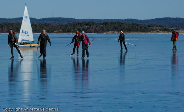 20110306.194.jpg 20110306.194.jpg