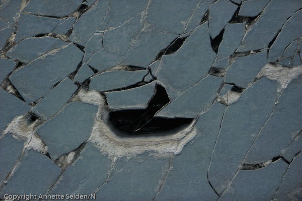 20110306.280.jpg 20110306.280.jpg