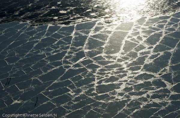 20110306.290.jpg 20110306.290.jpg