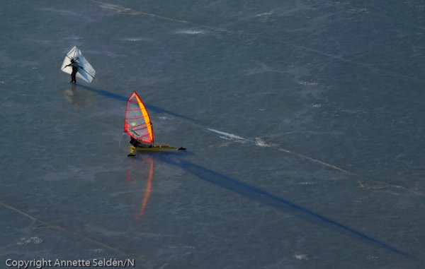 20110306.318.jpg 20110306.318.jpg