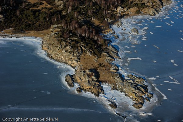 20110306.325.jpg 20110306.325.jpg