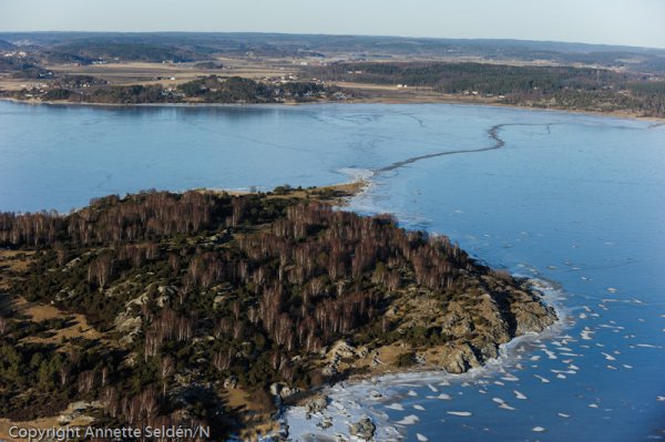 20110306.327.jpg 20110306.327.jpg