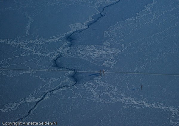 20110306.329.jpg 20110306.329.jpg