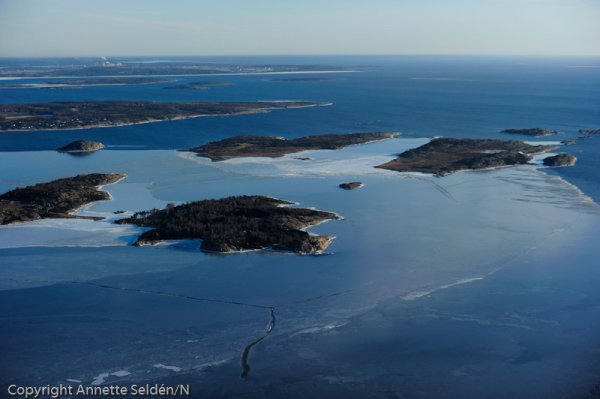 20110306.330.jpg 20110306.330.jpg