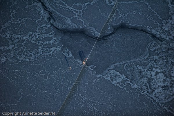 20110306.336.jpg 20110306.336.jpg