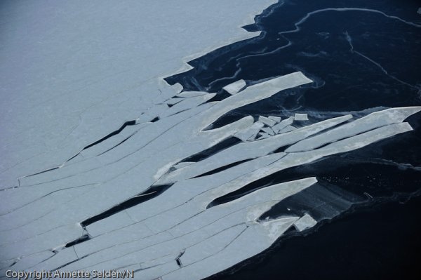 20110306.339.jpg 20110306.339.jpg