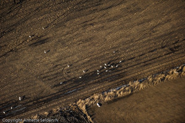 20110306.364.jpg 20110306.364.jpg