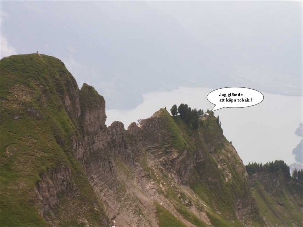 PICT2944.JPG PICT2944.JPG