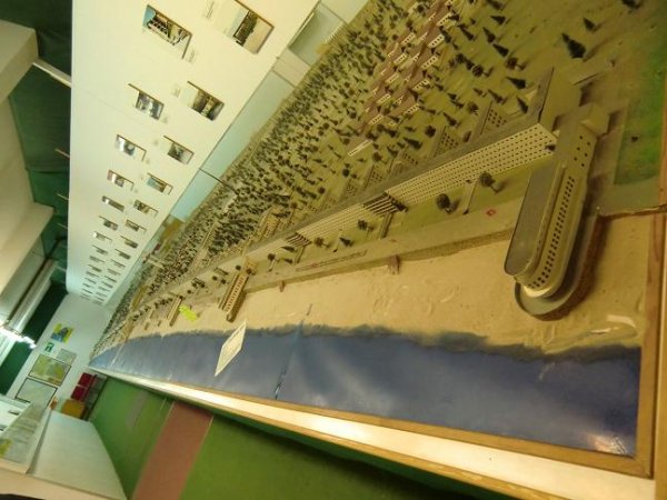 Semester 2010 596.jpg Semester 2010 596.jpg