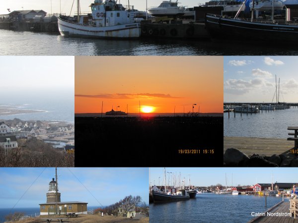 2011-03-19.jpg 2011-03-19.jpg