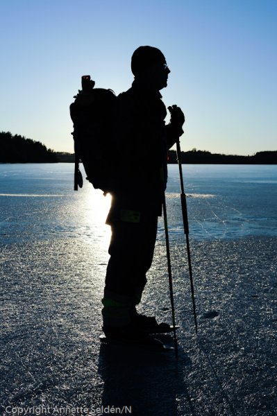 _DSC8039.jpg _DSC8039.jpg