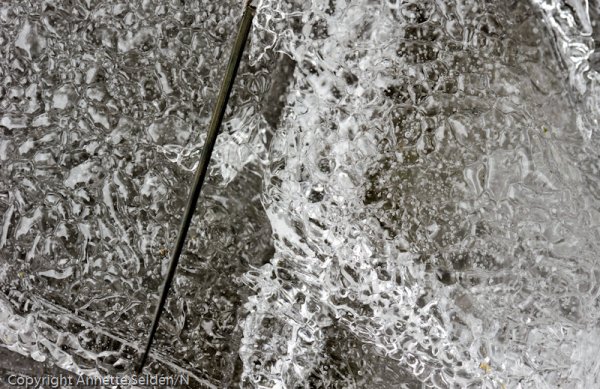 _DSC8151.jpg _DSC8151.jpg