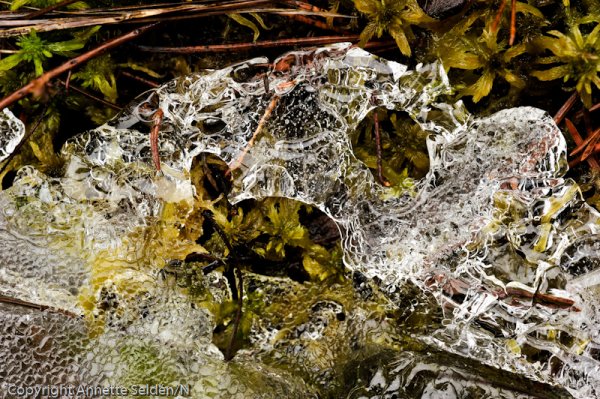 _DSC8156.jpg _DSC8156.jpg