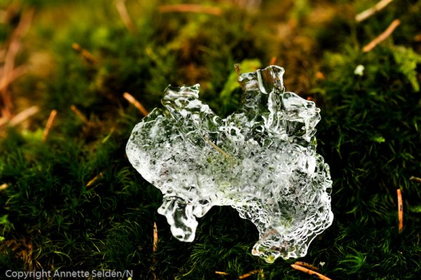 _DSC8160.jpg _DSC8160.jpg