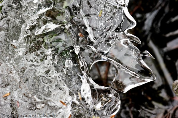 _DSC8147.jpg _DSC8147.jpg