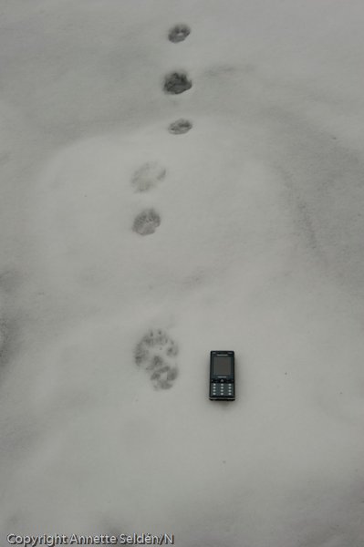 20110320.021.jpg 20110320.021.jpg