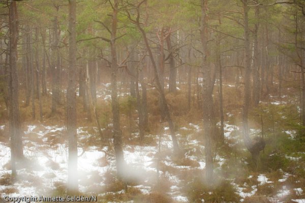 20110320.039.jpg 20110320.039.jpg