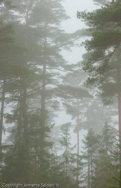 20110320.060.jpg 20110320.060.jpg