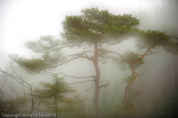 _DSC8076.jpg _DSC8076.jpg