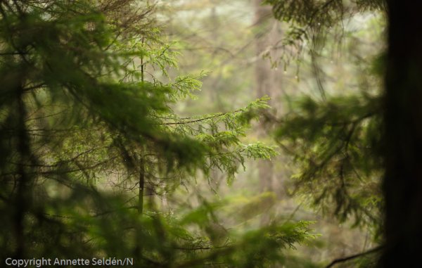 _DSC8059.jpg _DSC8059.jpg